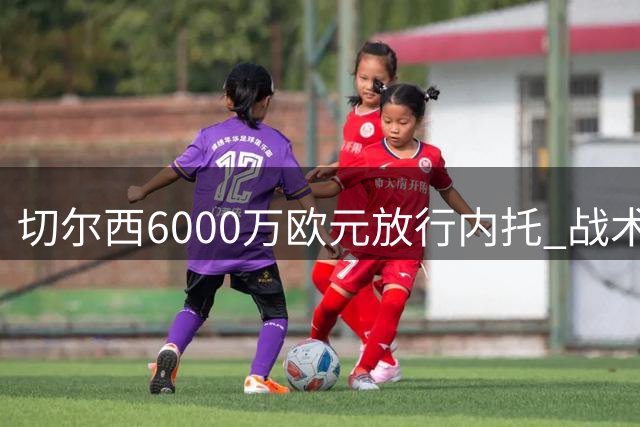 切尔西6000万欧元放行内托 战术适配与财务考量成主因