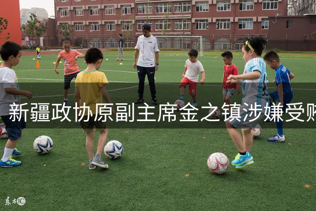新疆政协原副主席金之镇涉嫌受贿案提起公诉